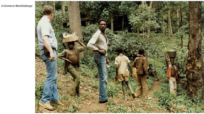 In Kamerun Mambilaberge