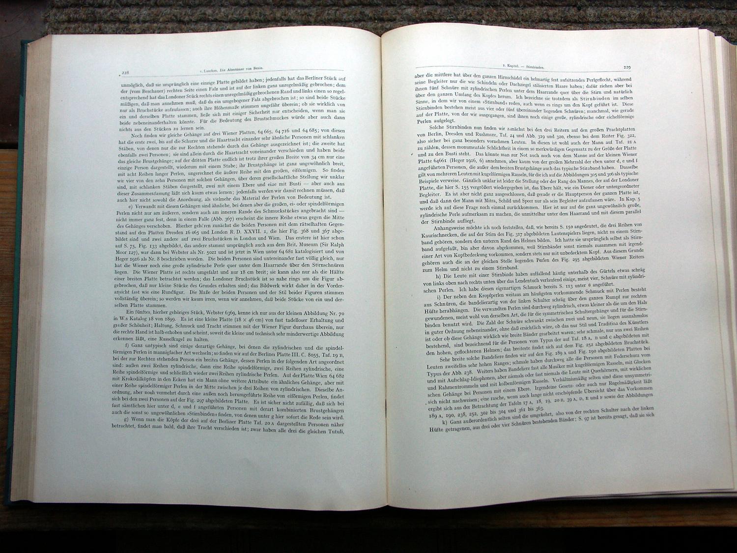 zz-lusc19,s.228