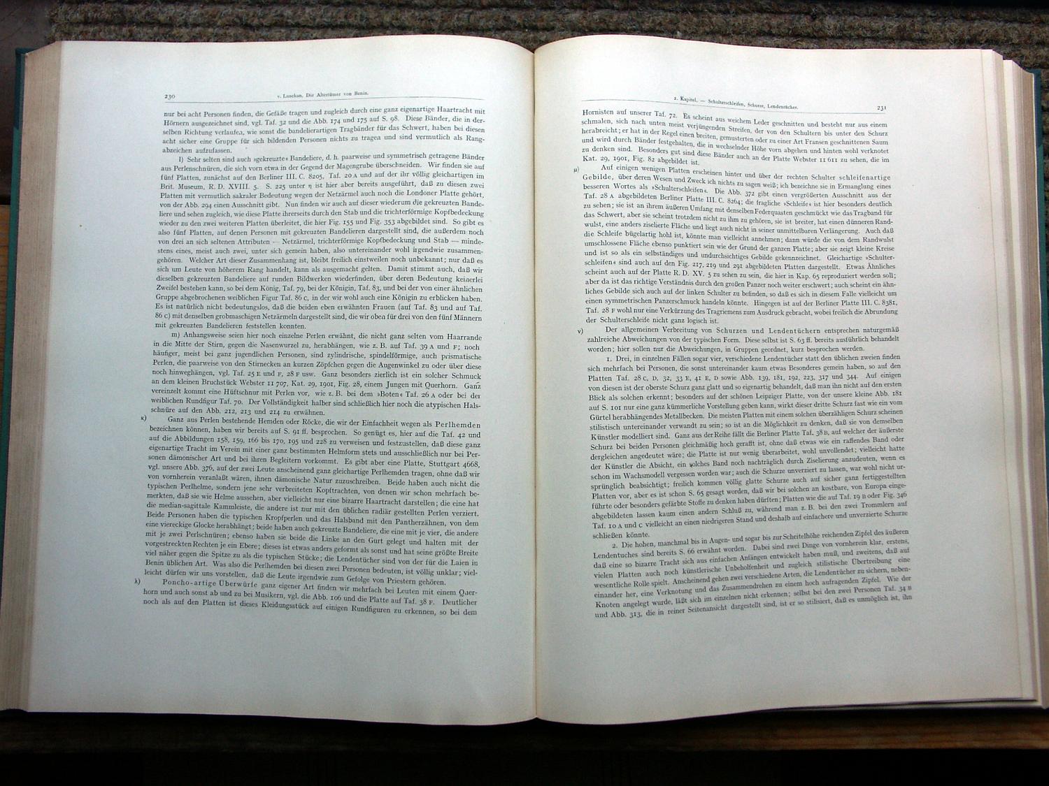 zz-lusc19,s.230