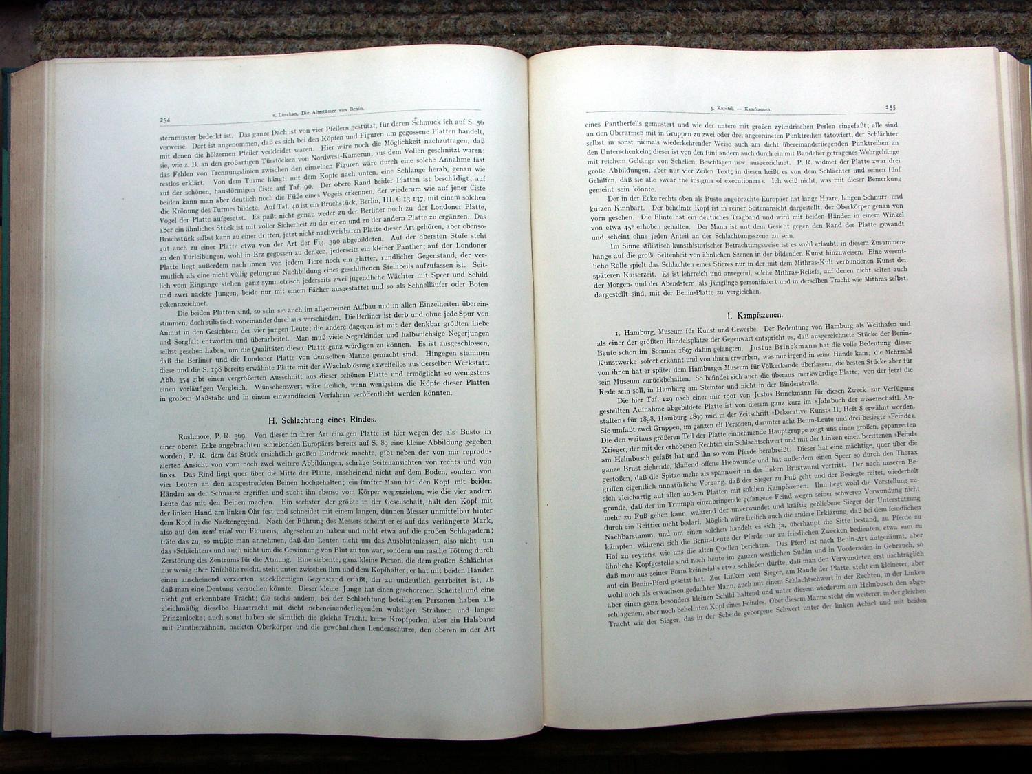 zz-lusc19,s.254