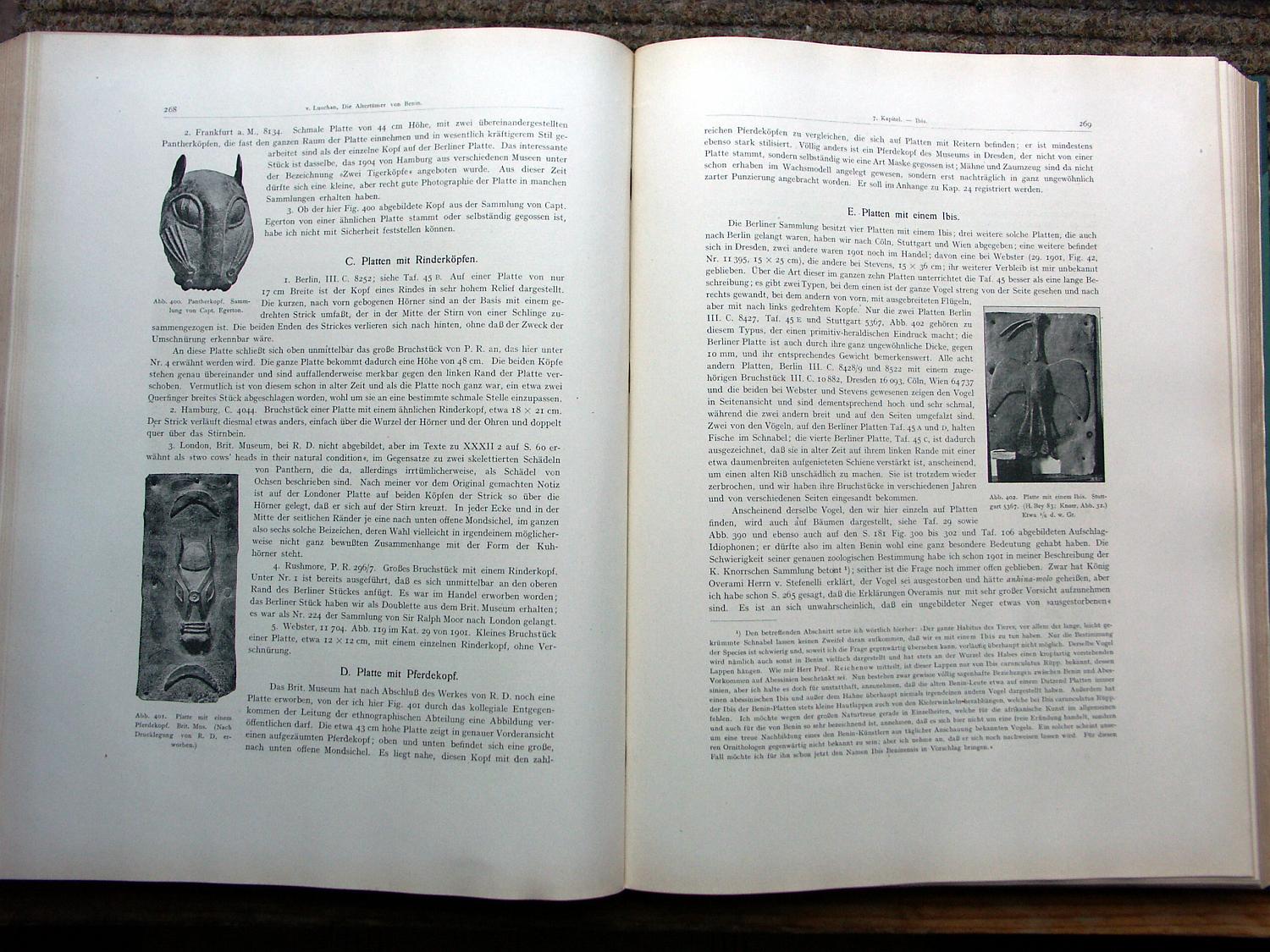 zz-lusc20,s.268