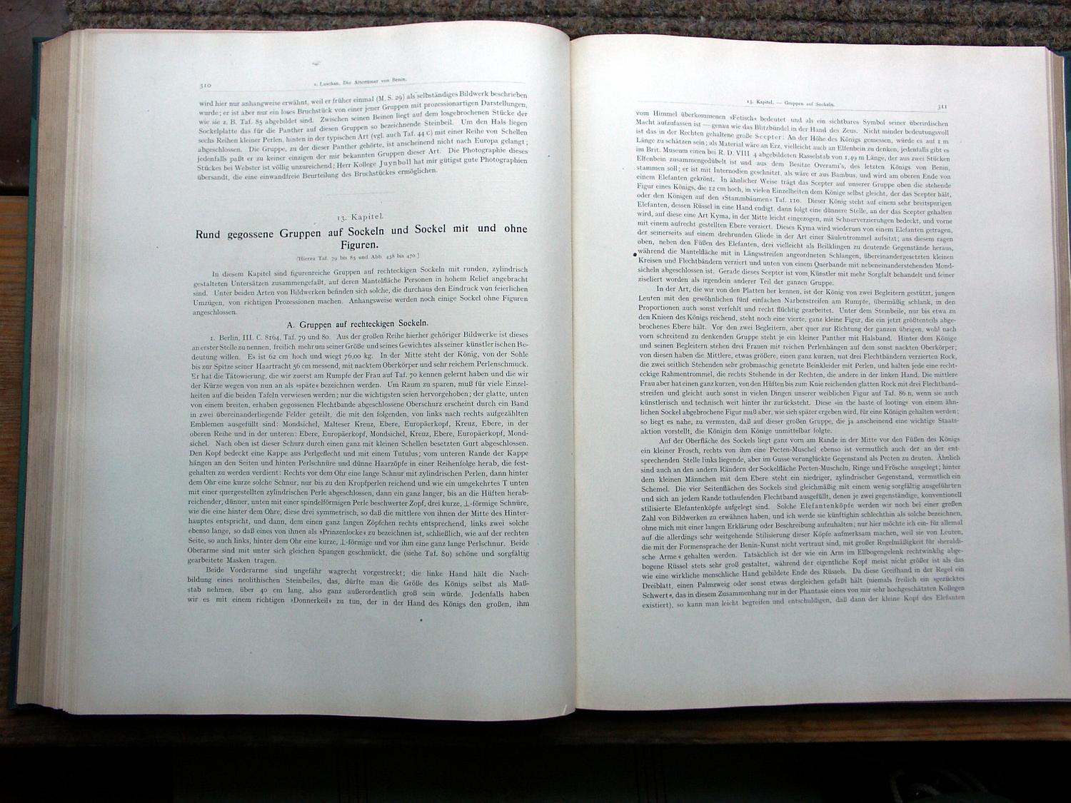 zz-lusc20,s.310
