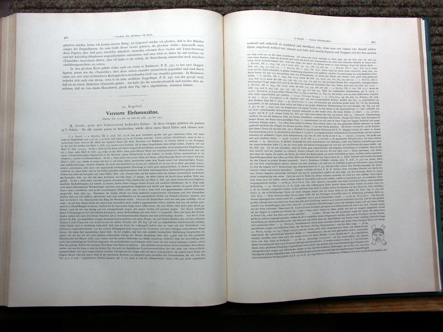 zz-lusc20,s.462