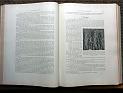 zz-lusc19,s.106