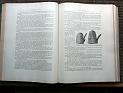 zz-lusc19,s.140