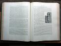zz-lusc19,s.176