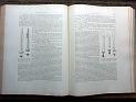 zz-lusc19,s.206