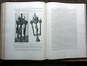 zz-lusc20,s.452