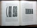 zz-lusc20,s.468
