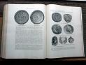 zz-lusc20,s.480