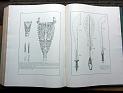 zz-lusc20,s.526