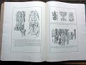 zz-lusc20,s.532
