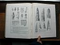 zz-lusc20,s.542
