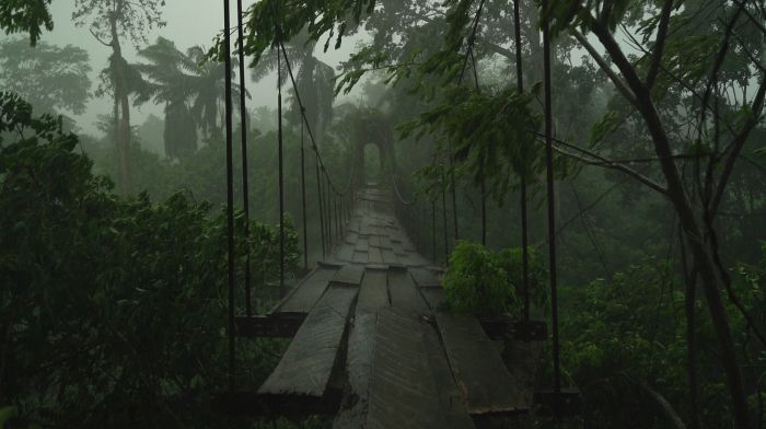 Andréas Lang, Screenshot aus der Video-Installation: "German Hanging Bridge", Kamerun 2016 © Andréas Lang