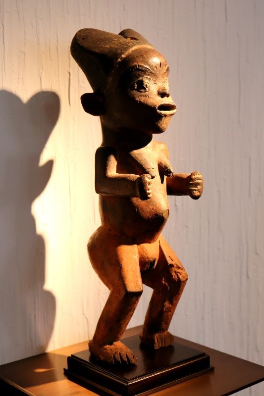 Dulon Tsogho 6