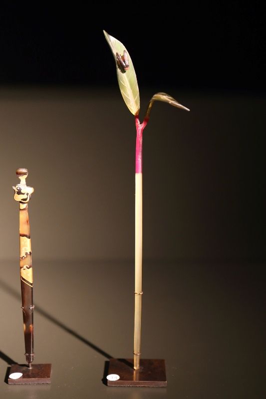 Ferrandin Japan rechts