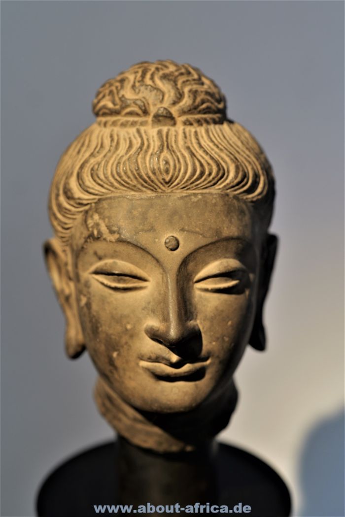 Henseler 10 Indien