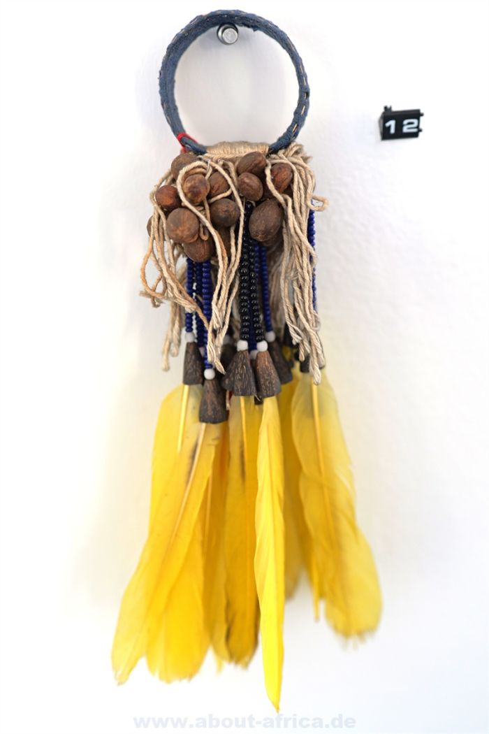 Henseler 6 Kayapo