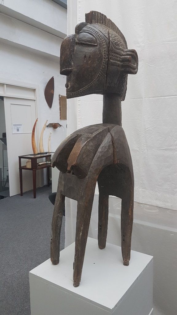 Baga, Los 118. Foto: Barlovic